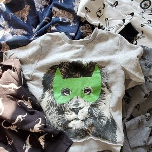 Boy's Lion in a Mask Sweatshirt